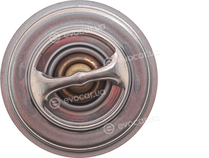 Motorad 248-71K