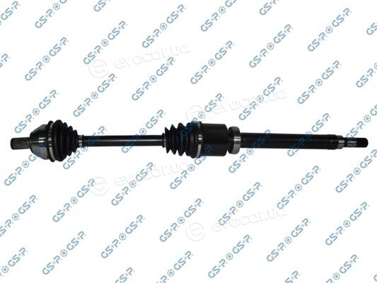 GSP 218350