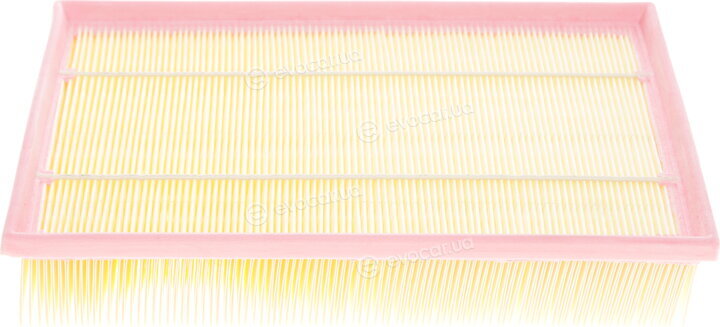 Solgy 103033