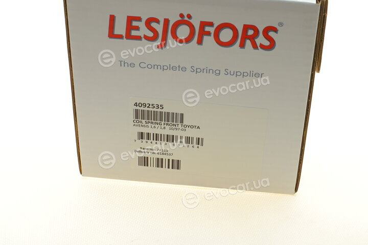 Lesjofors 4092535