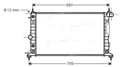 AVA OL2324