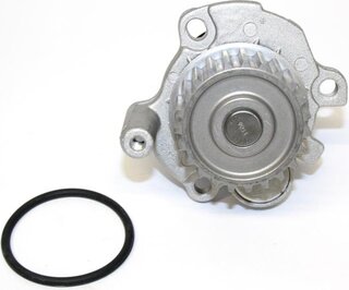Starline VP V164