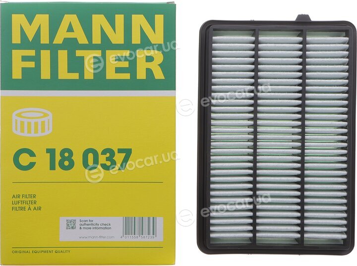 Mann C 18037