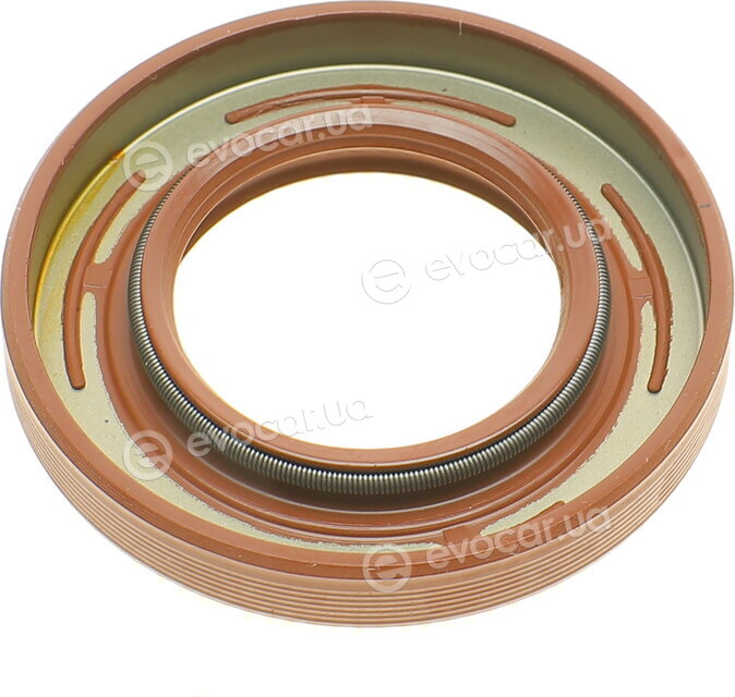 Elring 527.550
