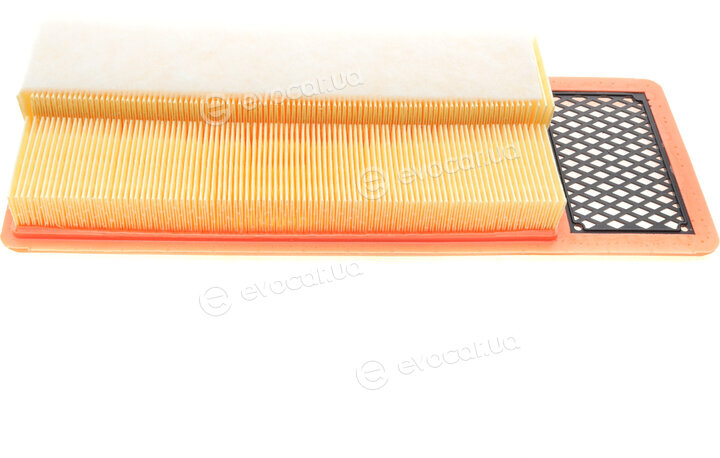 Mann C 36 006/1