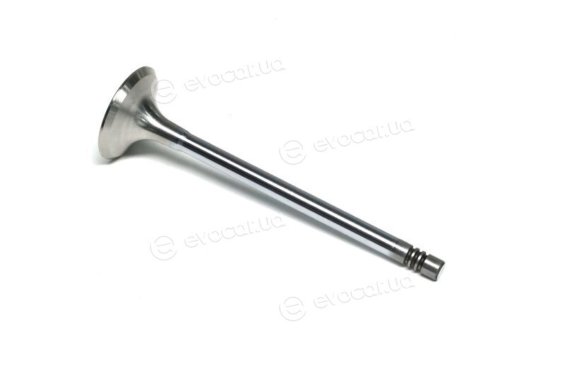 Gunes 6007