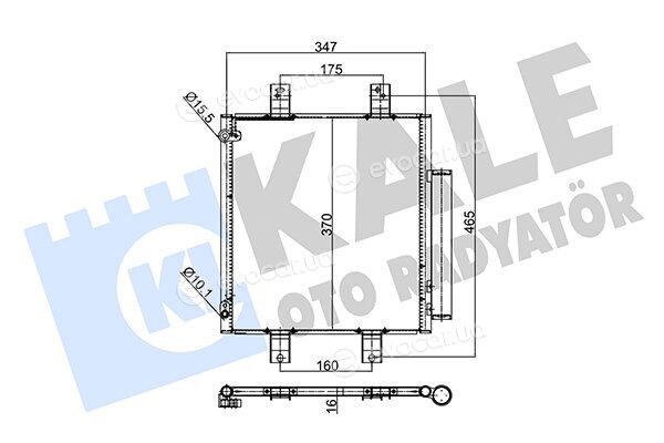 Kale 354045