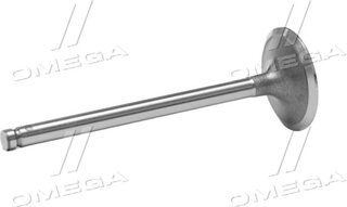 Gunes 4619