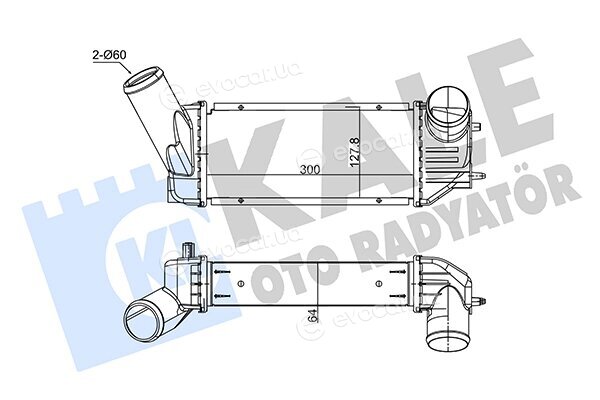 Kale 352490