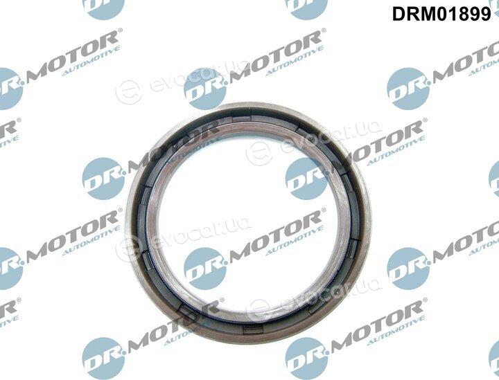 Dr. Motor DRM01899