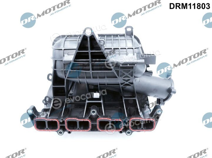 Dr. Motor DRM11803