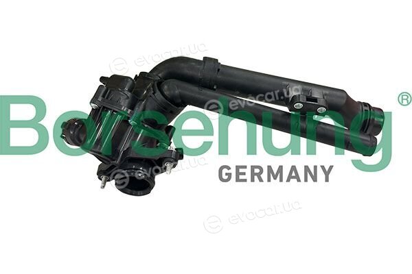 Borsehung B10565
