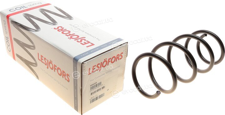 Lesjofors 4004329
