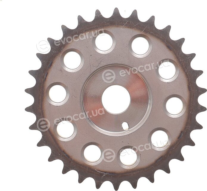Motive TCK318
