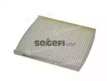 Coopers Fiaam PC8038