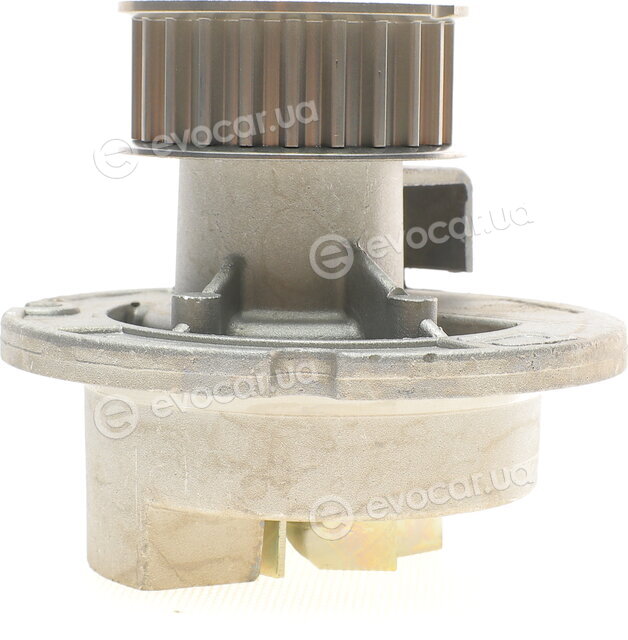 Continental CT975WP2