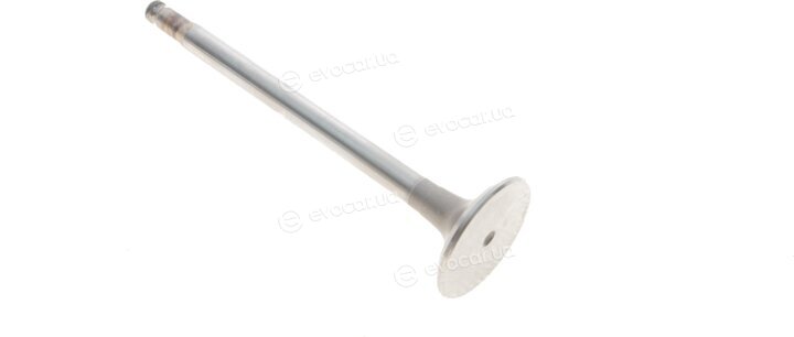 AMP PMER019-S-0-D