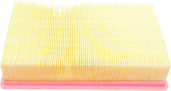 Solgy 103007