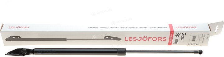 Lesjofors 8155415
