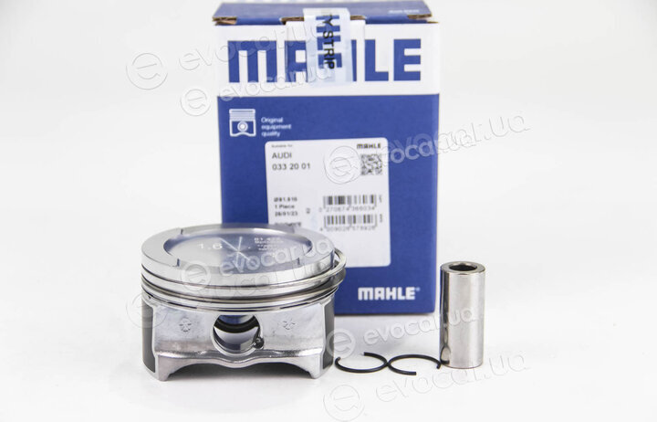 Mahle 033 20 01