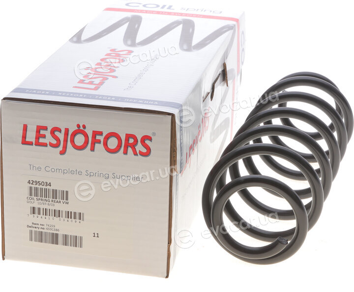 Lesjofors 4295034