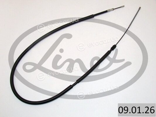 Linex 09.01.26