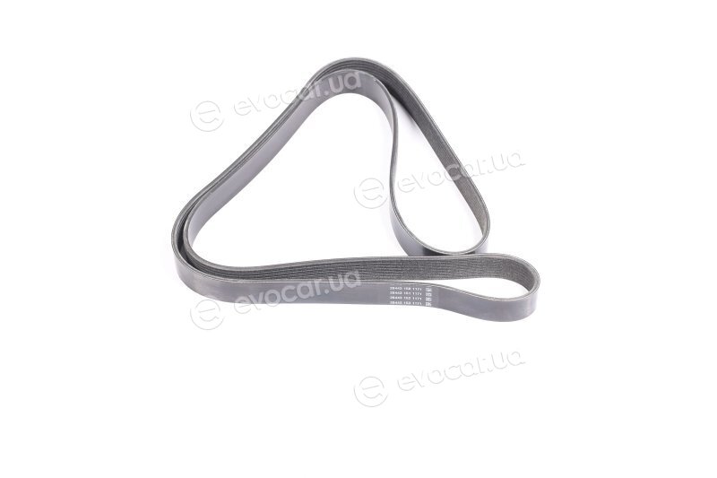 Dayco 8PK1815HD