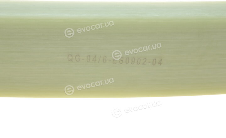Solgy 213004