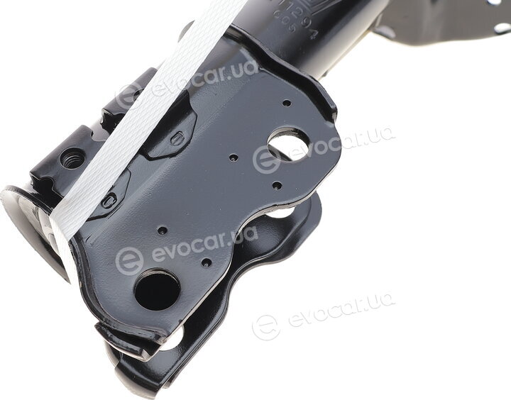 Solgy 211294