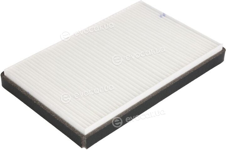 Fleetguard AF55861
