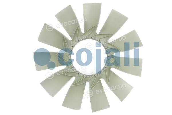Cojali 7077114