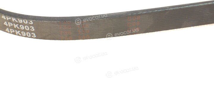 Blue Print AD04R903