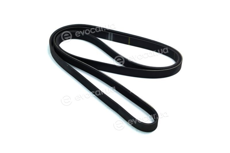 SKF VKMV 6PK2000
