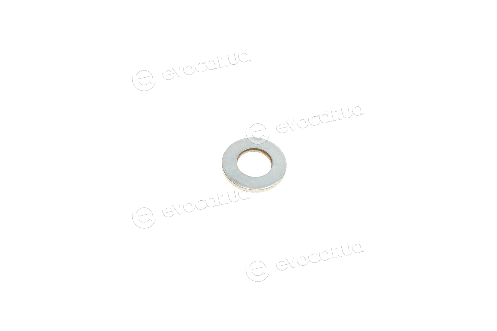 Solgy 203043