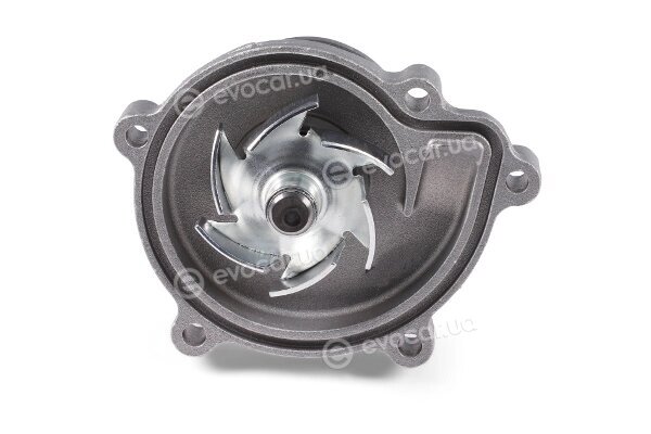 Hepu P1539