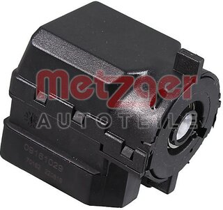 Metzger 09161029