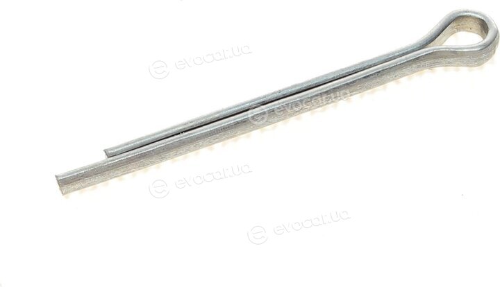 Solgy 216155
