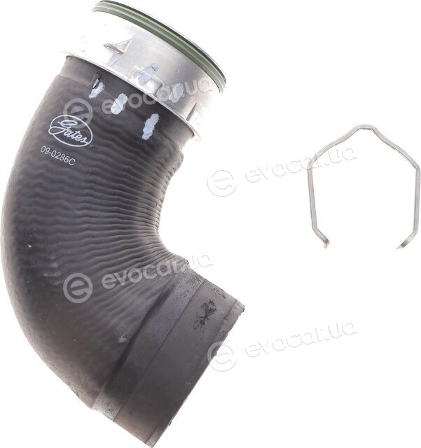 Gates 09-0286C