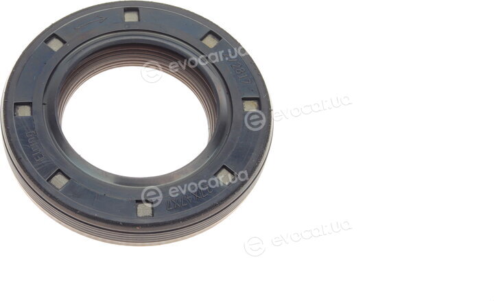 Elring 570.910