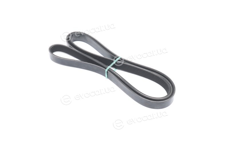 Dayco 6PK1910