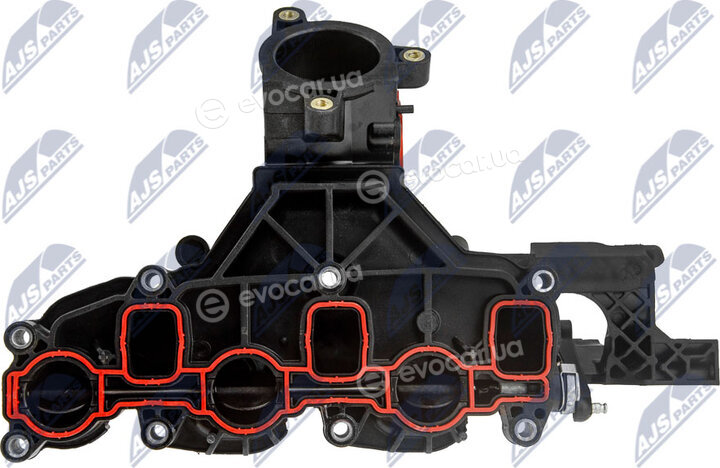 NTY BKS-VW-025