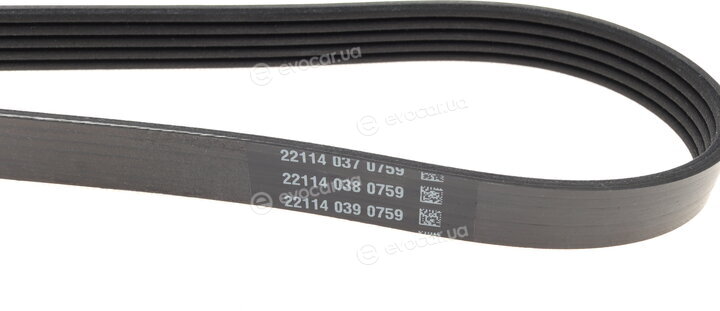Dayco 5PK1450