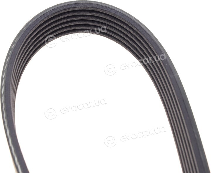 Dayco 6PK1565