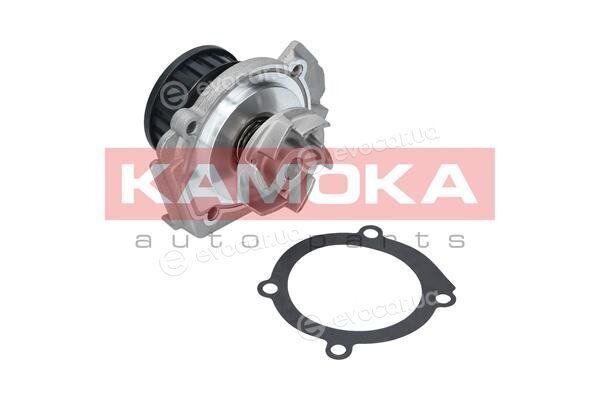 Kamoka T0117