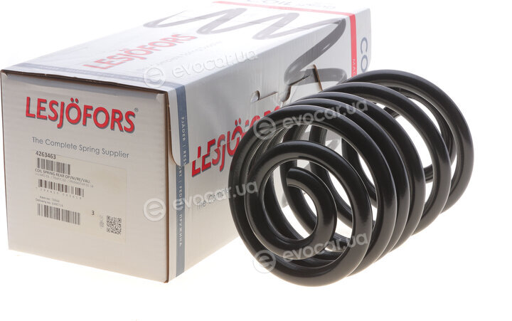 Lesjofors 4263463