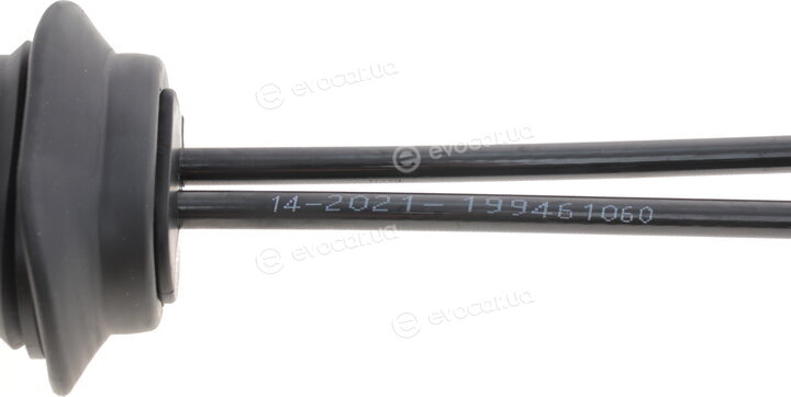 Solgy 119009
