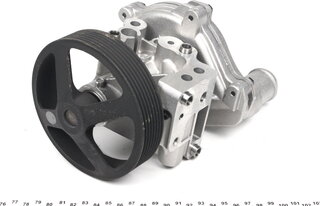 Hepu P248