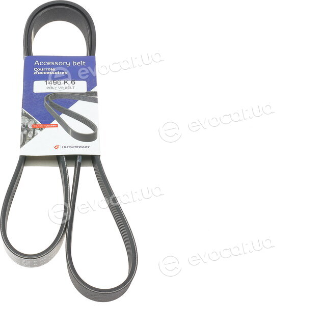 Hutchinson 1496 K 6