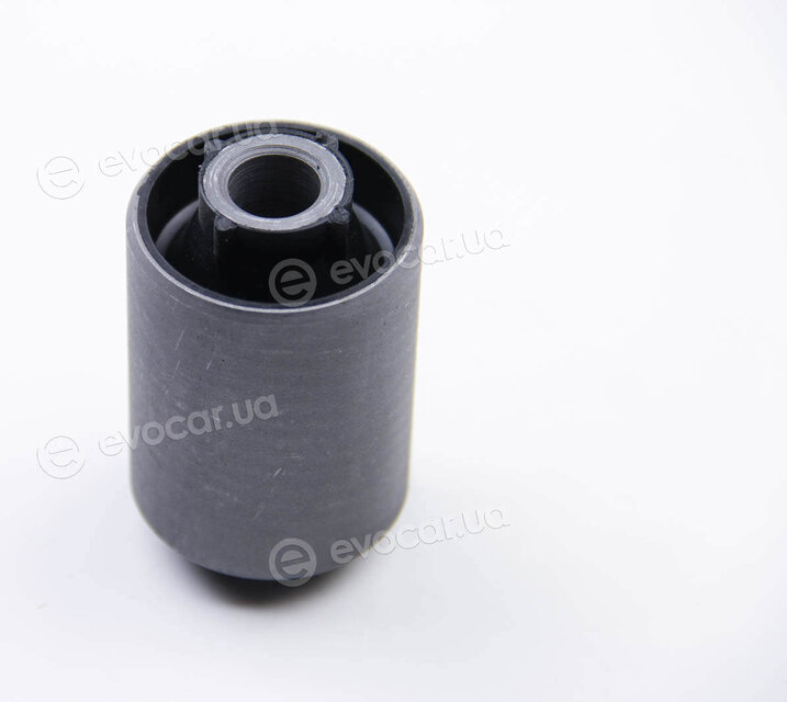 BC Guma 0117