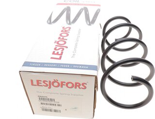 Lesjofors 4062076